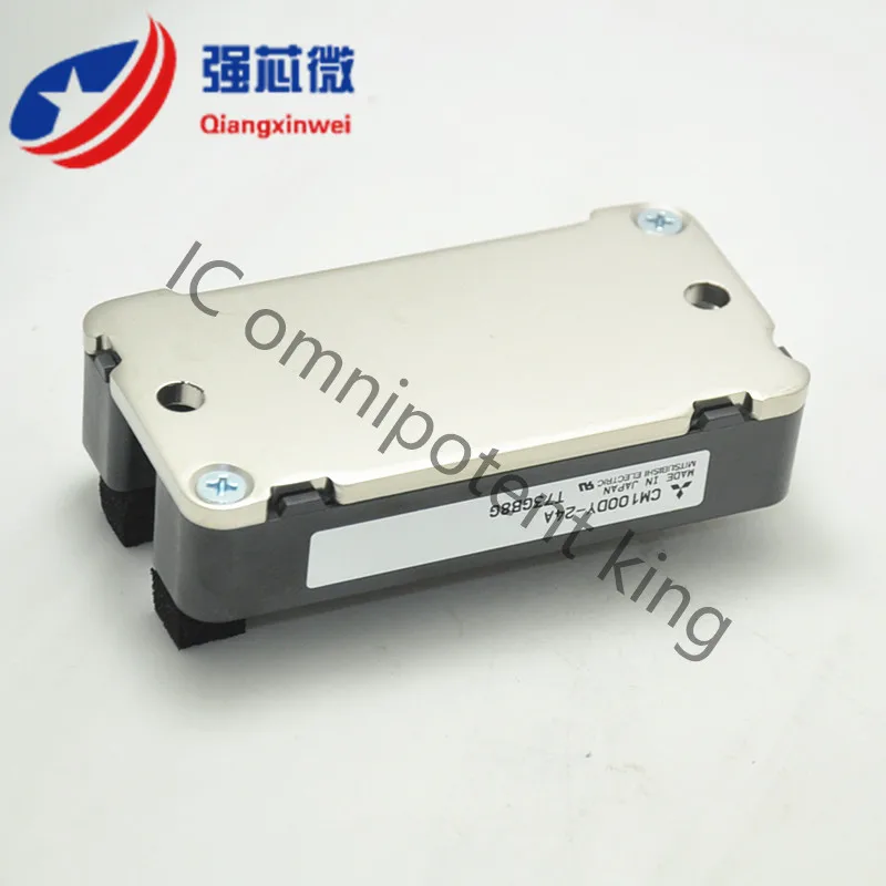 CM100DY-24A  3