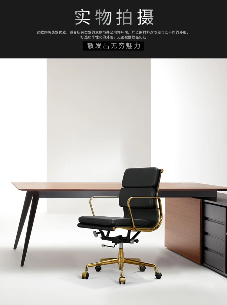 Details of Titanium Bag Office Chair750_11.jpg