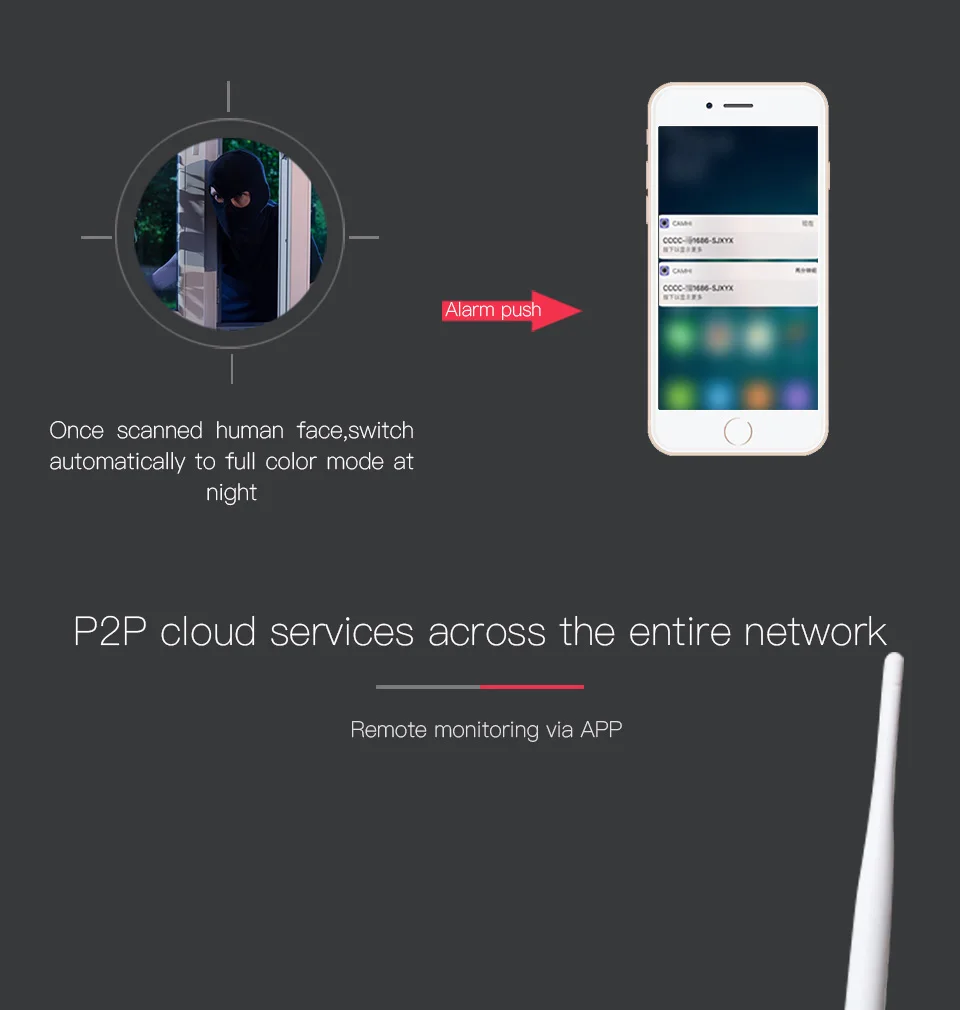 c18s P2P cloud services