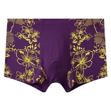 1 шт., мужские хлопковые трусы, мужское нижнее белье, боксеры, дышащие мужские боксеры, одноцветные трусы, удобные брендовые шорты