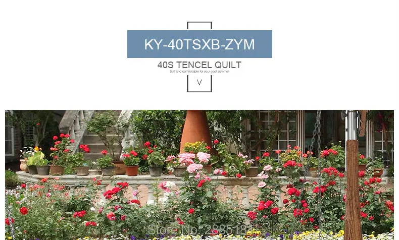 KY-40TSXB-ZYM_01