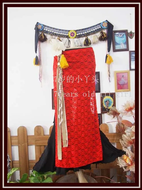 

Lace Belly Dance Skirt DAA10