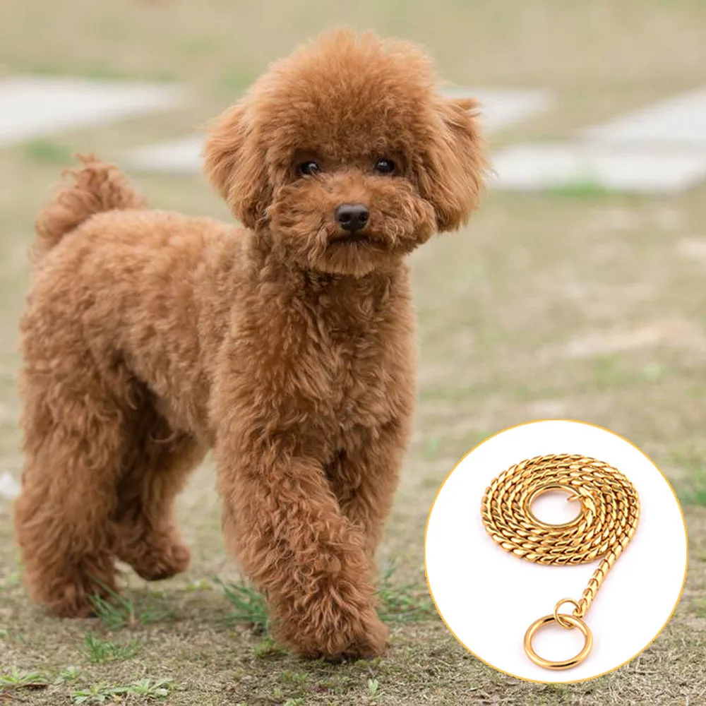 Ошейники для собак ошейники 55 см маленьких 2018 A #|collar for dog|choke chaindog snake |