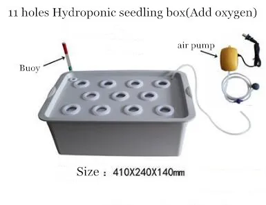 Главная гидропоники коробка для рассады 6/11/24 Отверстия Крытый сад Шкатулка-комод беспочвенной рост посевов комплект пузырь кашпо кассеты для рассады - Цвет: B2