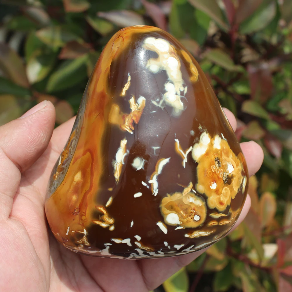 

570g Beautiful Natural Polished Red agate Stone Sample QUARTZ CRYSTAL HEALING Aquatic Plants Madagascar Home decoration M06