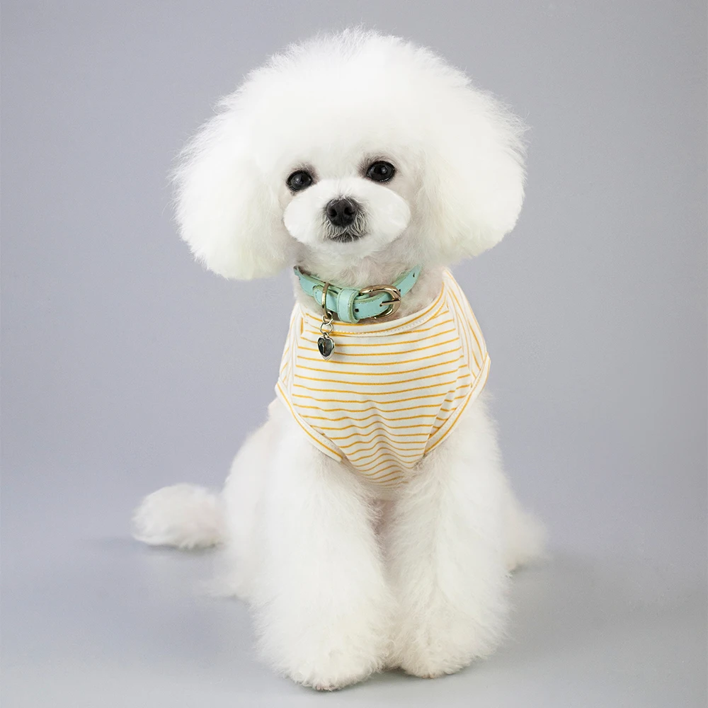 WeChat Image_20190224205047