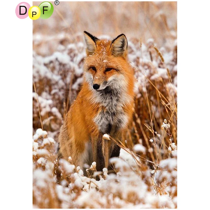 2025.2530.3040.4055.5070 (2)