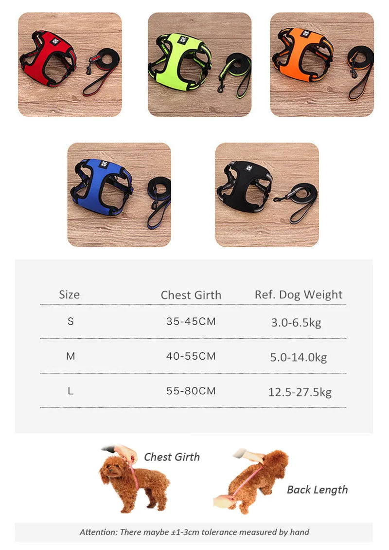 Dog Harness and Leash Set  (9)
