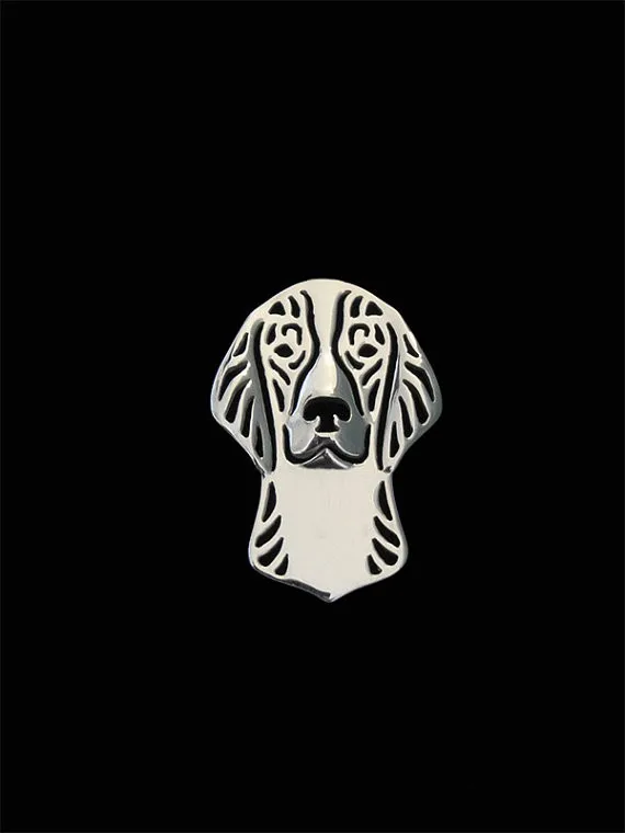 Welsh Springer Spaniel1