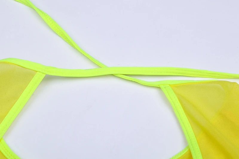 VS019-6