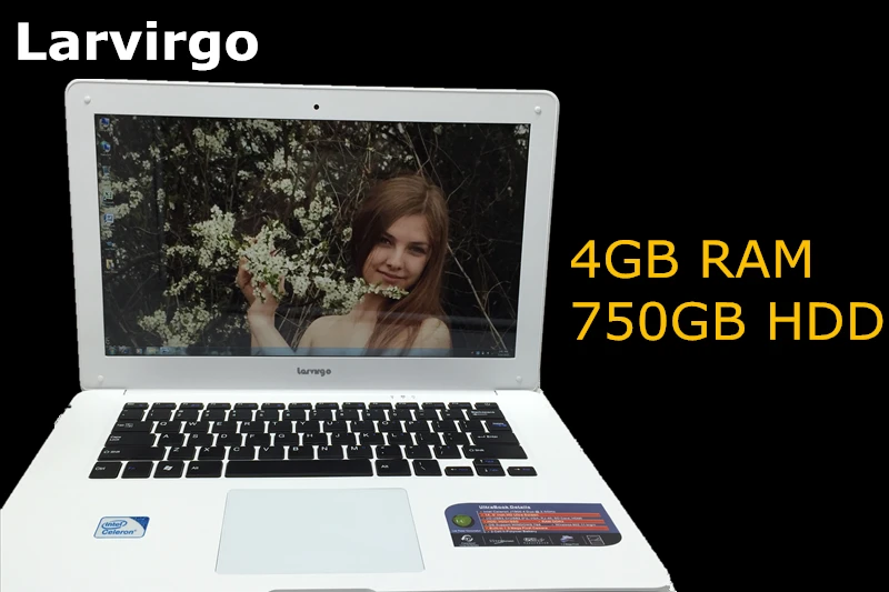  2016 NEW 14 inch win7/win8.1 Laptop computer PC In-tel Celeron JI900 2.0GHZ Quad Core 4GB RAM 750GB HDD Slim Ultrabook 