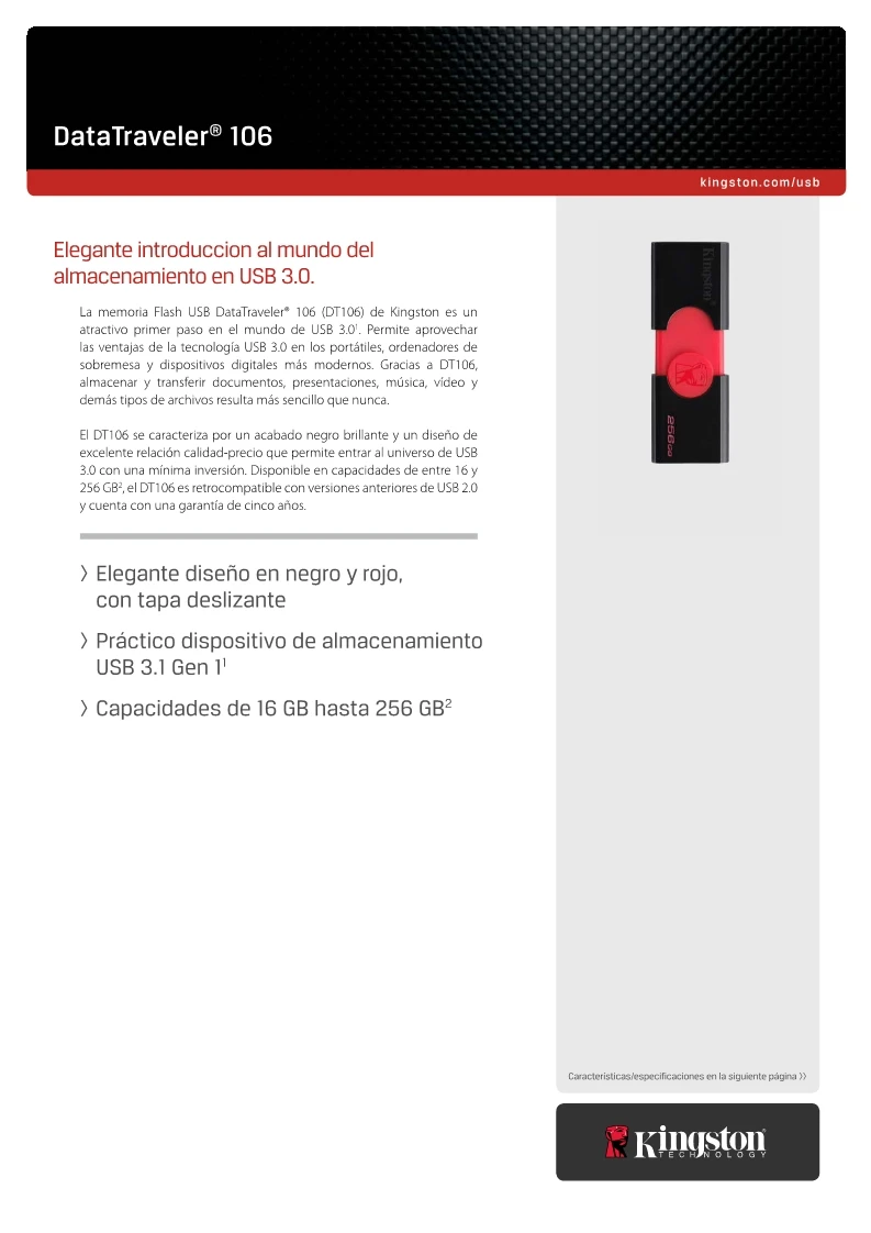 Kingston USB Flash Drive 16GB 32GB 64GB 128GB 256GB Flash Disk USB 3.1 3.0 Pen Drive Plastic Sleek Memory Memorias Disks DT106 (4)
