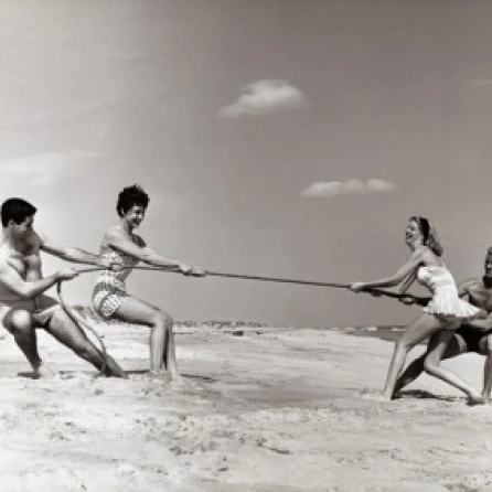 Two young couples playing tug-of-war on the beach Poster Print (18 x 24)