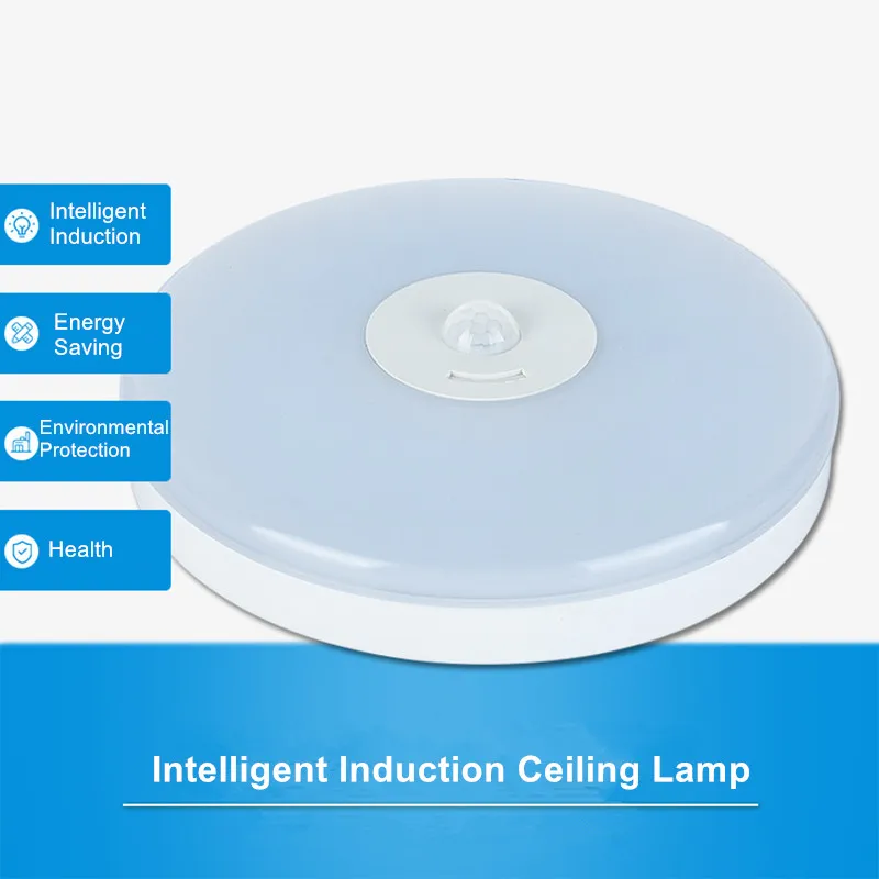 LED Ceiling light  (6)