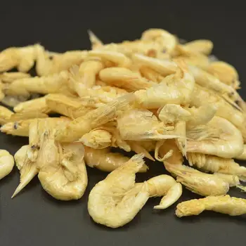 

20g/40pcs Dried Shrimps Protein Ant Farm Food Nutritive Ant Farm Workshop Accessories Ants Nest Pet Anthill Ant House Supplies