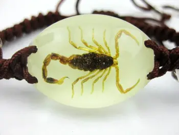 

FREE SHIPPING 5 PCS natural scorpion Specimens vogue Bangle Mix Rope glow Bracelets