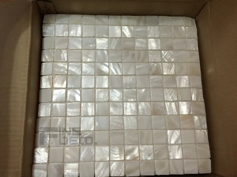 FD1113 pure white shell mosaic 20x20mm 9
