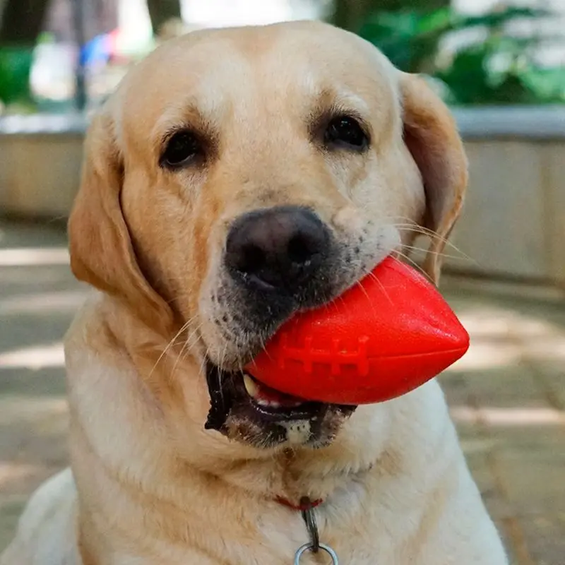 Pet Ball Rugby TPR Rubber Toys Interactive Floating Dog Cat Puppy