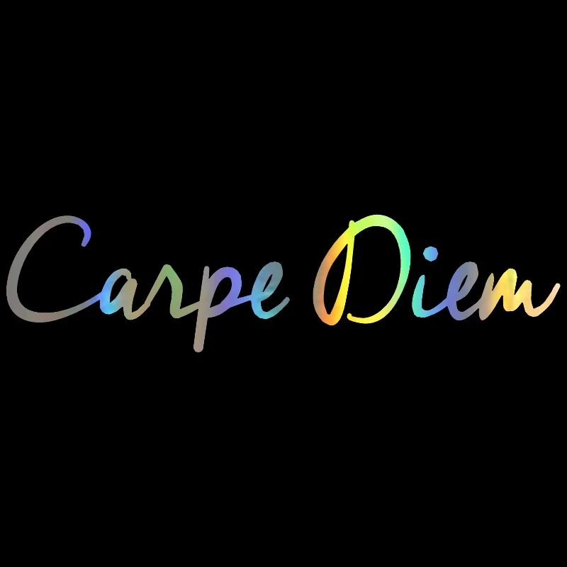 Car Sticker 3D 20.35CM CARPE DIEM Fashion Text Car Vinyl Decals Car Styling Door Wall Stickers Accessories BlackSilverLaser (4)