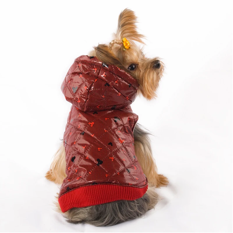 03 pet clothes 