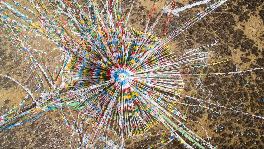 Dji Phantom 3 Advanced/Professional With 3 Battery And Hardshell Backpack, 2.7/4K HD Camera ,GPS System, Gods Viewing Angle