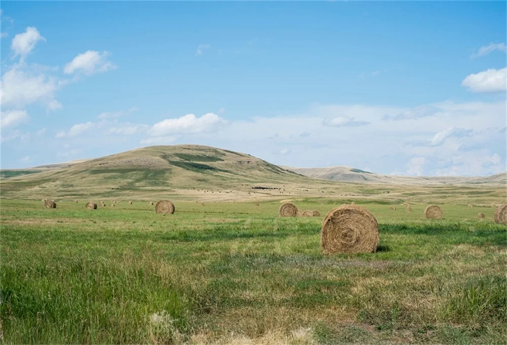 Laeacco Blue Sky Cloud Hay Stack Grassland Scenic Photographic Backgrounds Customized Photography Backdrops For Photo Studio | Электроника