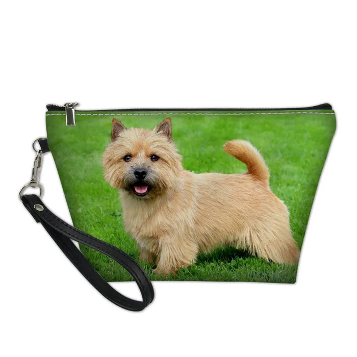 FORUDESIGNS Norwich Terrier печать женская косметика Макияж сумка туалетные принадлежности для путешествий Органайзер для дам кисеты косметичка - Цвет: Y3955Z8