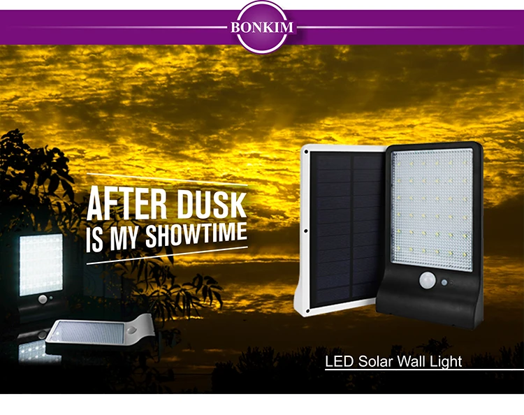 LED Solar Wall Bulb_01