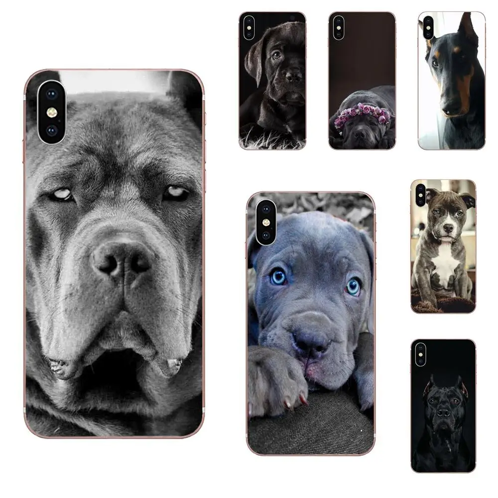 

Italian Dogs Cane Corso Mastiff For HTC 530 626 628 630 816 820 One A9 M7 M8 M9 M10 E9 U11 Moto G G2 G3 G4 G5 G6 G7