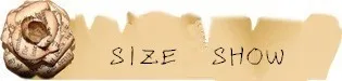 HTB1YT89jsnI8KJjSsziq6z8QpXa2.jpg?width=