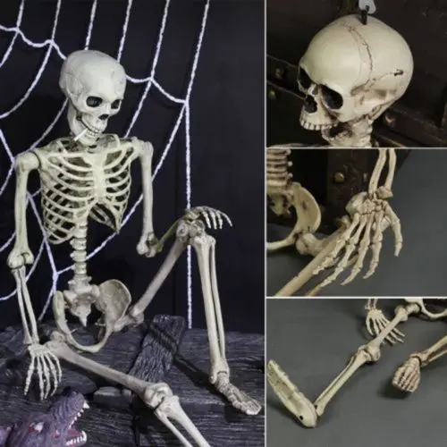 США запас максимальный поставщик 1 шт. Хэллоуин Опора человеческий скелет полный размер череп рука жизнь тело Анатомия Модель Декор 38x12 см