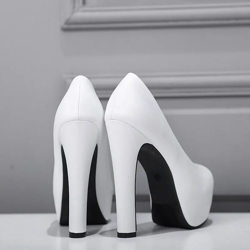 5DSR8779