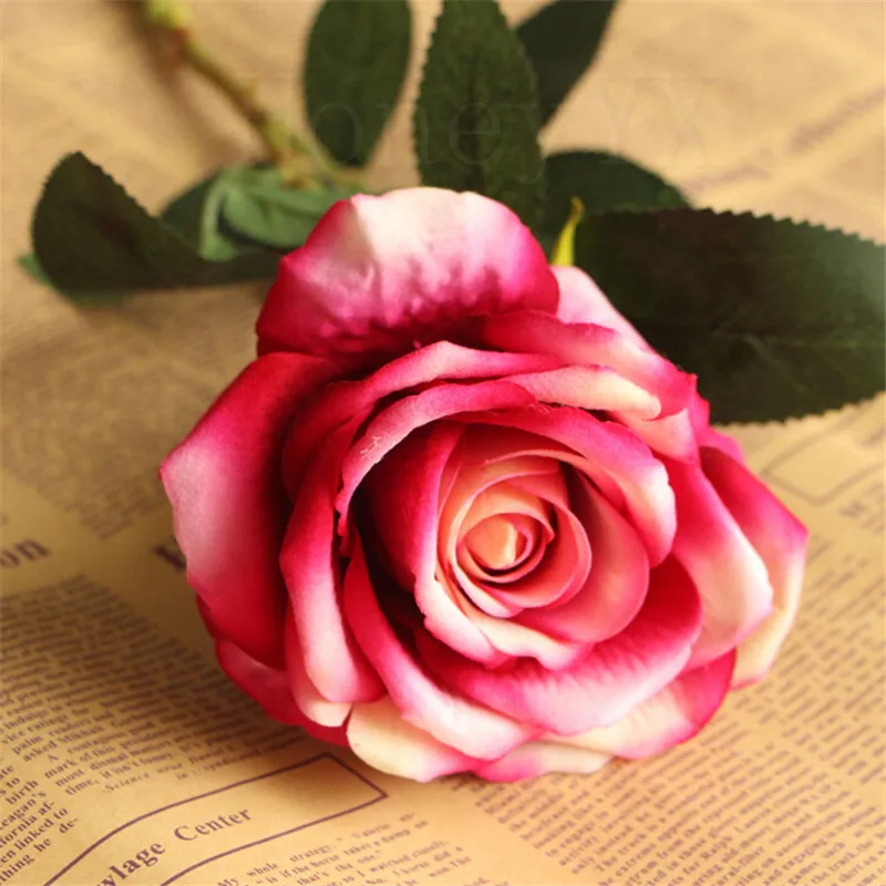 white and pink
