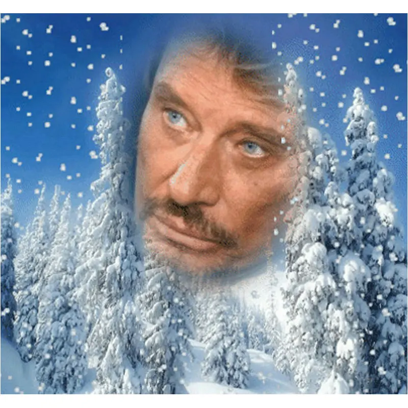 Johnny Halliday- (12)