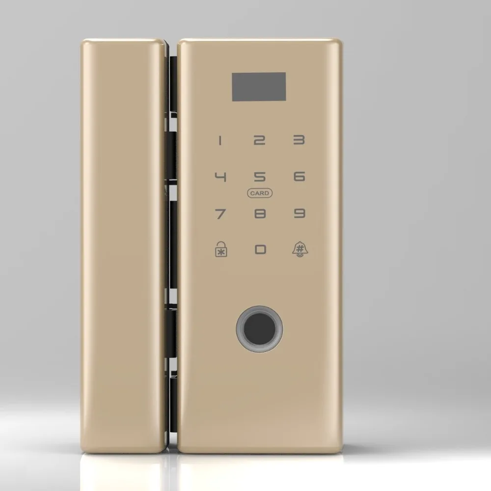 TTLock APP Smart keyless блокировка отпечатков пальцев поддержка IC карты пароль для