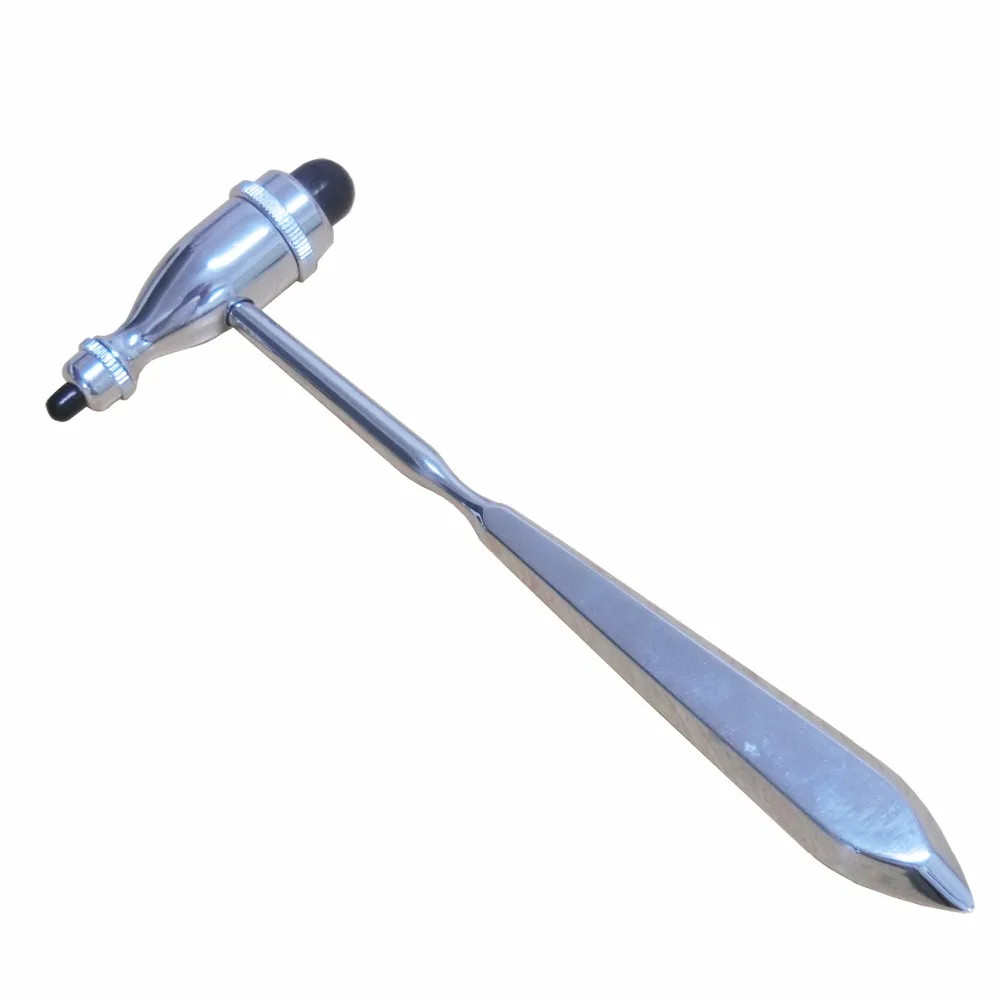 HTB1CH1rNVXXXXcvXFXXq6xXFXXXL