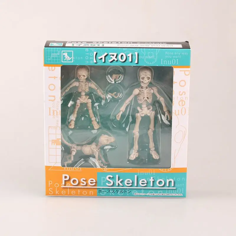 Pose Skeleton Q3     _ -  - 1 (1)