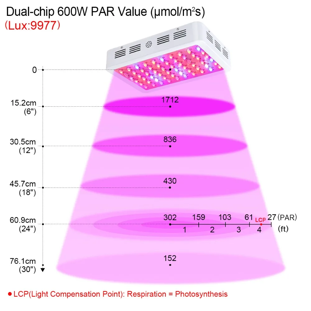 5.PAR 