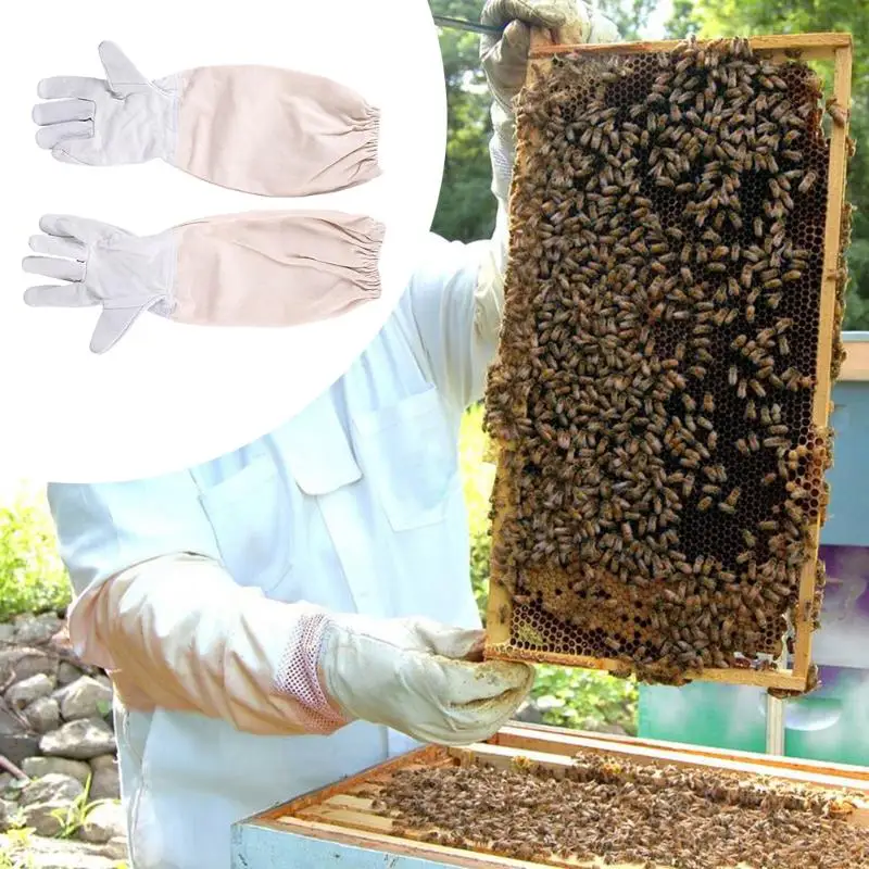 Всего тела Пчеловодство хлопок Костюмы вуаль капюшон перчатки шляпа Jaket защитные насекомых кормления костюм пчеловоды пчела оборудования