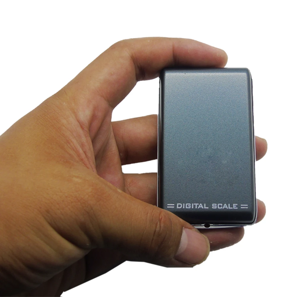 Scale 9