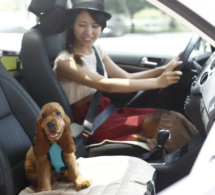 safety vehicle dog harness