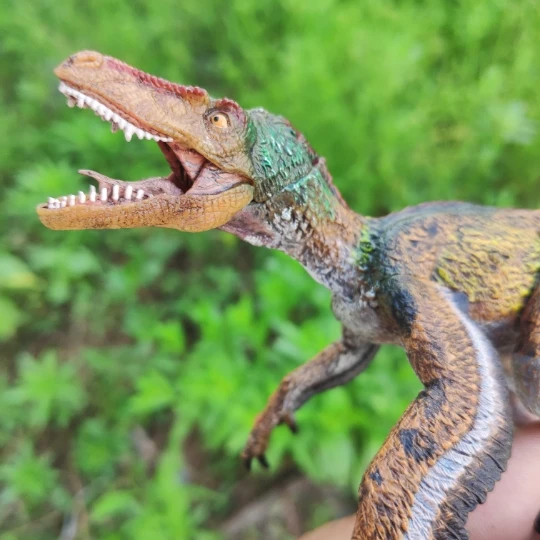 Papo Newvelociraptor刺激物最も古典的な古代の生き物シミュレーション動物おもちゃコレクション恐竜 Dinosaur Collection Toys Collectiblesdinosaur Dinosaur Aliexpress