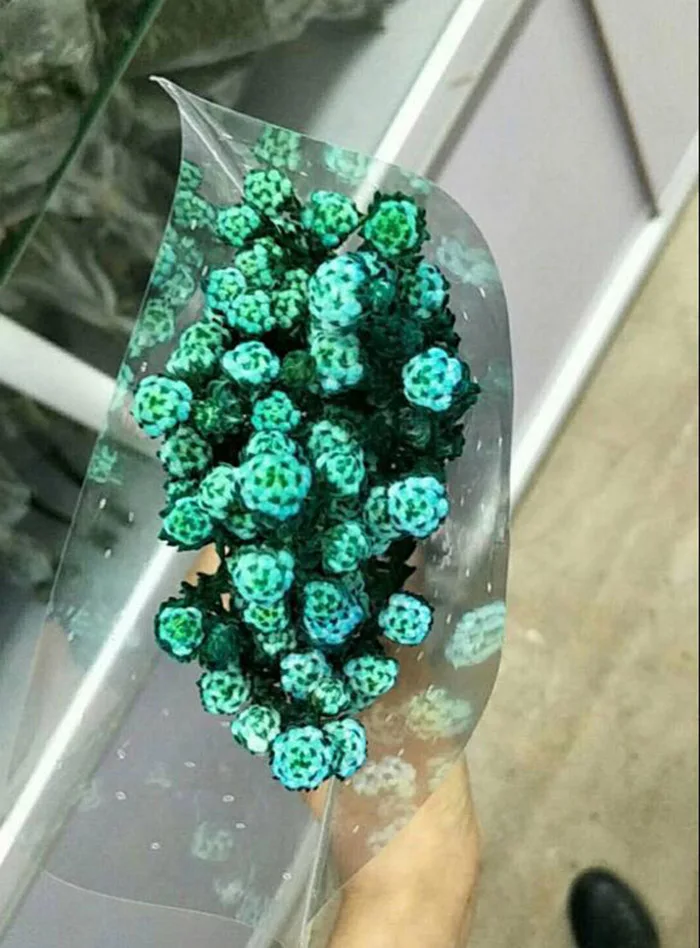 -3