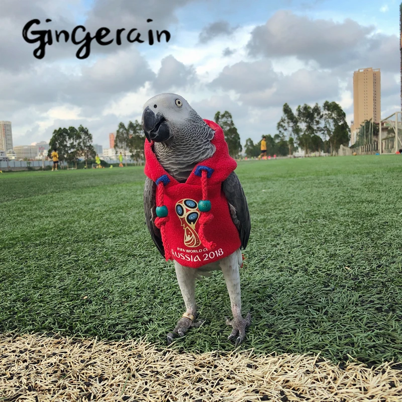 Gingerain одежда с птицами попугай футбол оригинальный ручной работы на заказ свитер