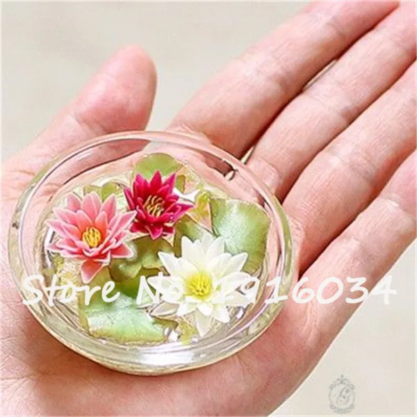 5882a84a98f79156c8c79aa733dfa1b4