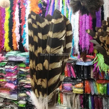 

New 10 pcs Beautiful Striped Patterns eagle Feather 45-55 cm /18-22 inches Beautiful Patterned Feathers