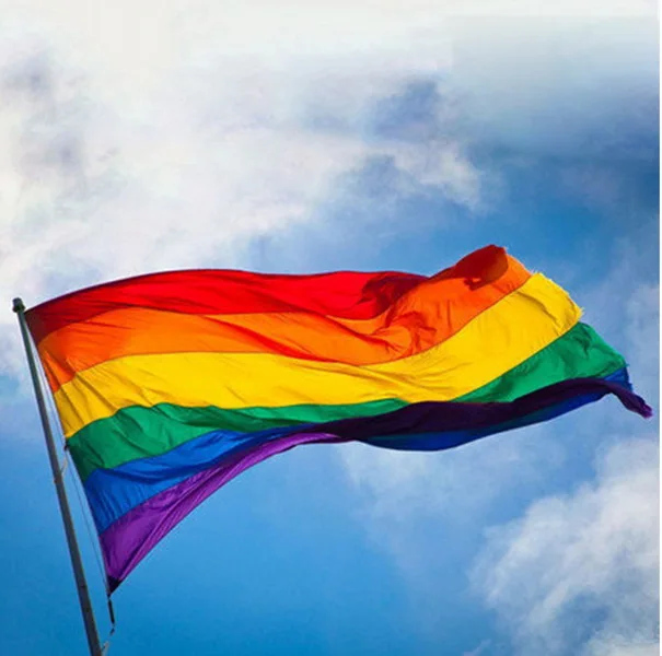 

DHL 50pcs LGBT Rainbow Flag 3x5FT 90x150cm Lesbian Gay Parade Banners LGBT Pride Flag Polyester Colorful Rainbow Flag