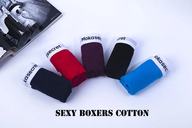 Breathable Men Underwear Cotton Boxer De Marca Para Hombre Cueca Calvn Boxer Shorts Sexy Panties Men Underwear Brand Underpants01