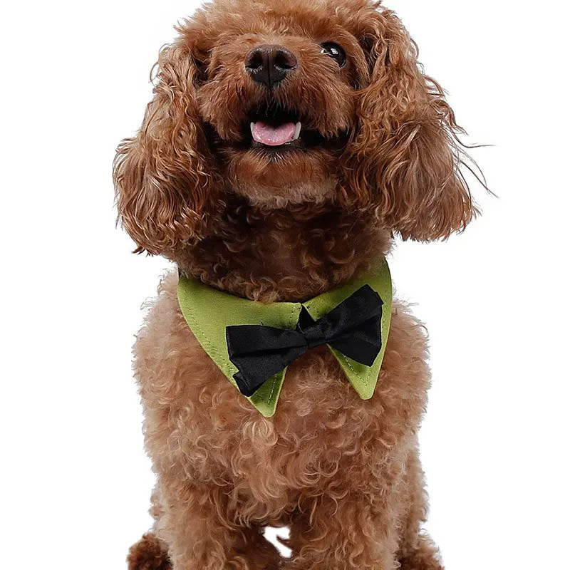 Compare Prices on Dog Husky Puppy- Online Shopping/Buy Low