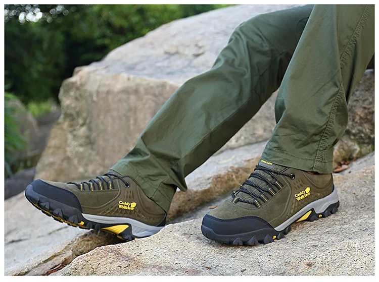 9102442375_200365450